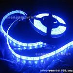  优质LED水灯条 5050-60灯 12V 滴胶水灯条
