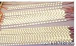 【品质】供应5730led灯灯条 LED灯条