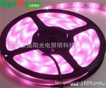 3528紫光LED软灯条 3528粉红光LED软灯条 12V 60灯