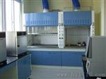 贵州实验室家具/安顺实验室钢木通风柜/重庆思诚设备