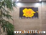 供应LED显示屏室内双基色