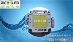 80WLED集成光源 