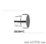 ZB2-BA2C施耐德schneider 金属弹簧复位平头按钮开关头