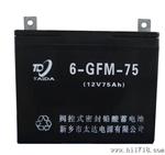 12V75Ah直流屏用蓄电池