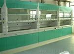 重庆实验室设备/重庆山实验室全钢通风柜