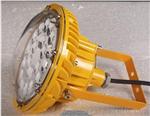 NSC9720-N100W/220V水尘震眩灯2.5米护栏式100W三应急灯